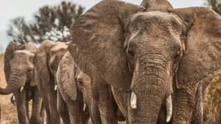 PostgreSQL Conference Japan 2025 参加レポート