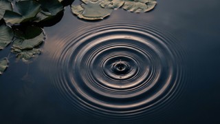 「頭がいい」だけでは、仕事はできない〜IQ・EQを成果に変える「SQ」という出口