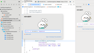 SwiftGenとSwift-DocCを活用してコード上の画像を一瞬でプレビューする方法