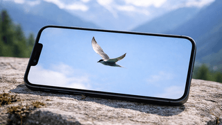 理解しにくい設計を問い直す試み ─ SwiftUI を題材に